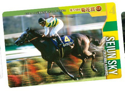 楽天市場】サラブレッド カードの通販