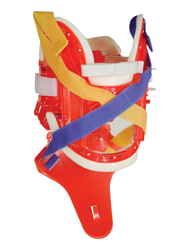 Yates社 CMS Xカラー