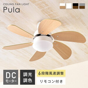 󥰥ե饤 ⥳դ 󥰥饤 󥰥ե ŷ ե եդ LED led󥰥饤 DC⡼ ĴĴ  ̲  ŷ  ӥ 4 6 8 դ   եȶ ceilingfan light pula