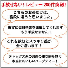 リソウデトックティー気になるボディにハーブティーフレーバーティー