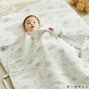 D by DADWAY ディーバイダッドウェイ ガーゼケット ベビー 赤ちゃん ブランケット ガーゼ ベビーケット おしゃれ かわいい 掛け布団 出産祝い プレ...