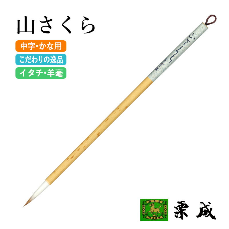 ɮ ��ƻ ���� �ػ������� ������ޡ� ��ƻ���� ��ɮ ��ɮ 8�� ����� ��̾�� ���� ��� �׽� ���� ����