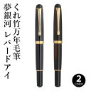 万年毛筆 呉竹 『くれ竹万年毛筆 夢銀河 レパードアイ 中字 全2色』 筆ペン ペン インク 美文字 墨 年賀状 贈り物 プレゼント 毛筆 宛名 高級 大人 事...