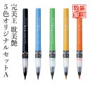 【訳あり】 筆ペン 呉竹 『完美王 耽美艶 5色オリジナルセットA』 書道 習字 カラー イラスト アート 筆ペン ペン インク カラフル 彩り 絵画 美文字 ...
