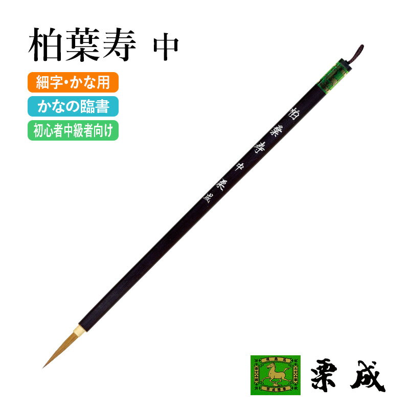 ɮ ��ƻ ���� �����ռ� ��� ��ƻ���� ��ɮ ��ɮ �ٻ��� ��̾�� ���� �׽� �鿴�� ����