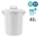 抗菌ペール 45L 清潔 安心 リス容器丸45型 本体 フタセット 通販 45L 45リットル ゴミ箱 ごみ箱 飲食 厨房 庭 屋外 頑丈 丸型 掃除 清掃 業務用 リス