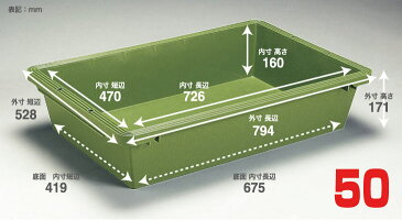 プラ舟 50 グリーン 業務用 プラスチック 50リットル 50L 金魚 亀 メダカ 水槽 リス興業