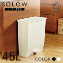  SOLOW ソロウ ペダルオープンワイド 45L ゴミ箱 45リットル おしゃれ ごみ箱 ふた付き キッチンカウンター 通路 キッチン 分別 ペダル式 リビング コンパクト シンプル 送料無料 抗菌 防汚 リス株式会社