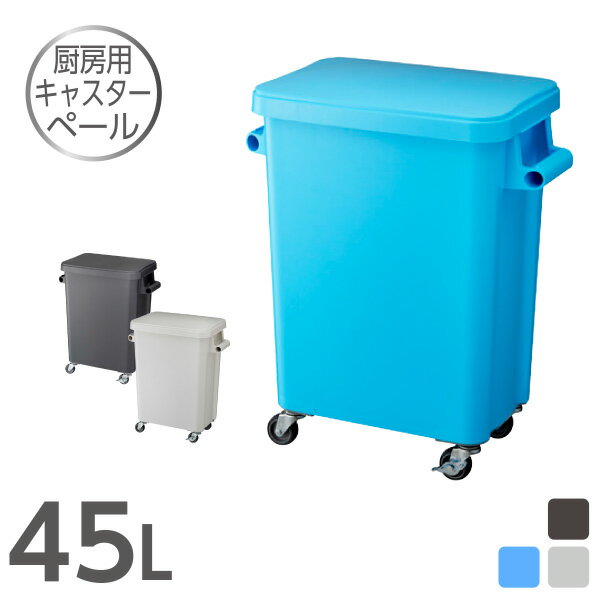 厨房用キャスターペール45L（排水栓付） ゴミ箱 ごみ箱 業務用 送料無料 キャスター付き コロ キッチン 飲食店 食堂 レストラン 調理場 角型 ペール シンク 45リットル 大型 丸洗い プロ仕様 取っ手付 フタ付 日本製