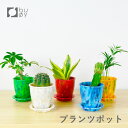 【レビューでプレゼント有り】buoy プランツポット ブイ プランター 鉢 小さめ 小型 ミニ 植木鉢 フラワーポット 植物 フラワー 園芸 観葉植物 花 多肉...