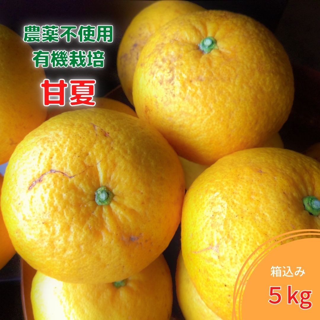 農薬不使用/甘夏みかん5kg Lサイズ 2Lサイズ/福岡県糸