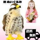 ハヤブサ タカ ぬいぐるみ リアル 23センチ 鳥 鷹 イーグル ペット 大きい Falcon バード 鳥類 本物 そっくり ギフト プレゼント おもちゃ 子供 女の子 男の子 タイガーテールトイズ 【日本正規品】