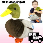 カモ ぬいぐるみ リアル 30センチ ペット かも 大きい 鳥 トリ マガモ 鴨 野鳥 本物 そっくり ギフト プレゼント おもちゃ 子供 女の子 男の子 タイガーテールトイズ 【日本正規品】