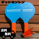 VIAHART グッドミントン バドミントン パドルゲーム