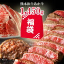 御中元 2022年福袋 牛肉 福袋 2022 ステーキ 福袋 食品 赤牛 あか牛 送料無料 福袋対象 お肉 福袋 肉 1450g 肉袋 牛袋 肉福袋 あかうし 熊本県産 ももステーキ ハンバーグ 牛肉 国産牛 和牛 焼肉 ビーフ 低脂肪 低脂質 赤身 決算 食べ物 利他フーズ