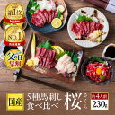 父の日早割【300円OFF】馬刺し 国産 ばさし 熊本 国産馬刺し 馬肉 熊本馬刺し 肉 詰め合わせ 馬刺 霜降り 中トロ 上 赤身 中トロ たてがみ ユッケ ...