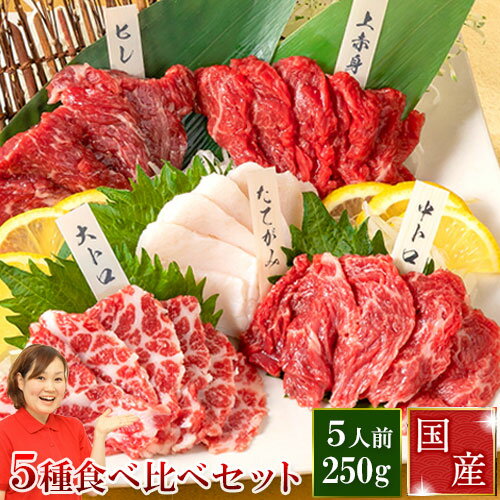 馬刺し 熊本 国産 お歳暮 馬肉 詰め合わせ 肉 ギフト 馬刺 馬肉 赤身 霜降り 大トロ 上赤身 熊本 国産 肉 送料無料 5種食べ比べセット 5人前 250g 上赤身 大トロ 霜降り 中トロ たてがみ 馬ヒレ 食べ物 惣菜 おつまみ プレゼント ばさし