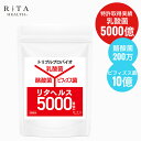 アウトレット 訳あり リタヘルス5000(約1カ月分) 乳酸菌 5000億個 サプリ 酪酸菌 200万個 ビフィズス菌 20億個 特許乳酸菌 FK-23 フェカ...