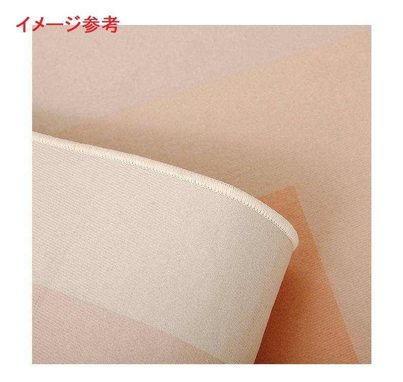 A050528FM61ラグカーペット リビングマット ラグマット、カーペット、ラグ、マッ 滑り止め付 ホットカーペット対応 床暖房対応 サイズオーダー可能 色が選べます [2]