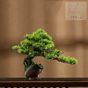 20220729-7　インテリアグリーン 高級模造迎客松盆栽 置物 禅意迎客松盆栽装飾品 人工観葉植物
