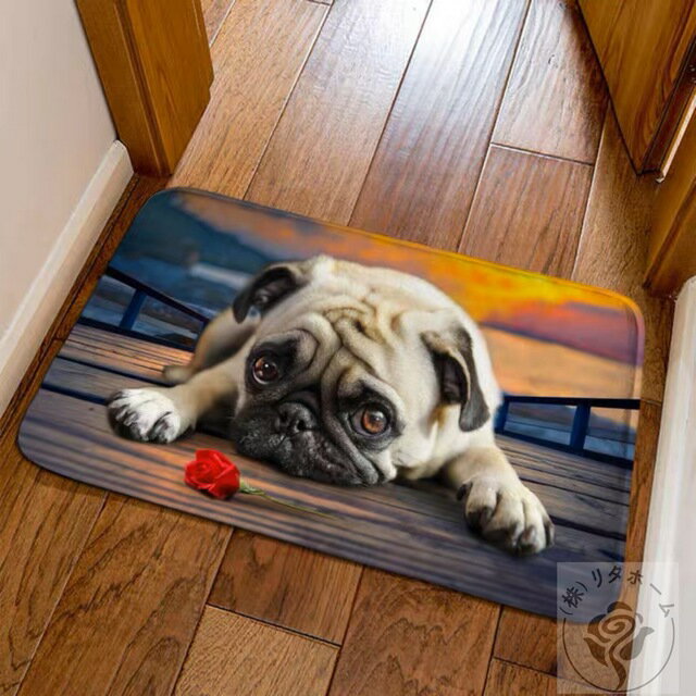 OJ[ybg O}bg 40x60cm PUGփ}bgEpOG