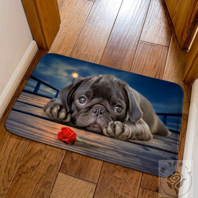 OJ[ybg O}bg 40x60cm PUGփ}bgEpOG