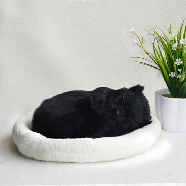 A018420ねこ ネコ 猫の置物 玄関飾り　猫雑貨　玄関小物　癒やし