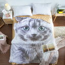 猫柄雑貨　ネコ可愛い 毛布 ブランケット ひざ掛け かけ布団110x150cm