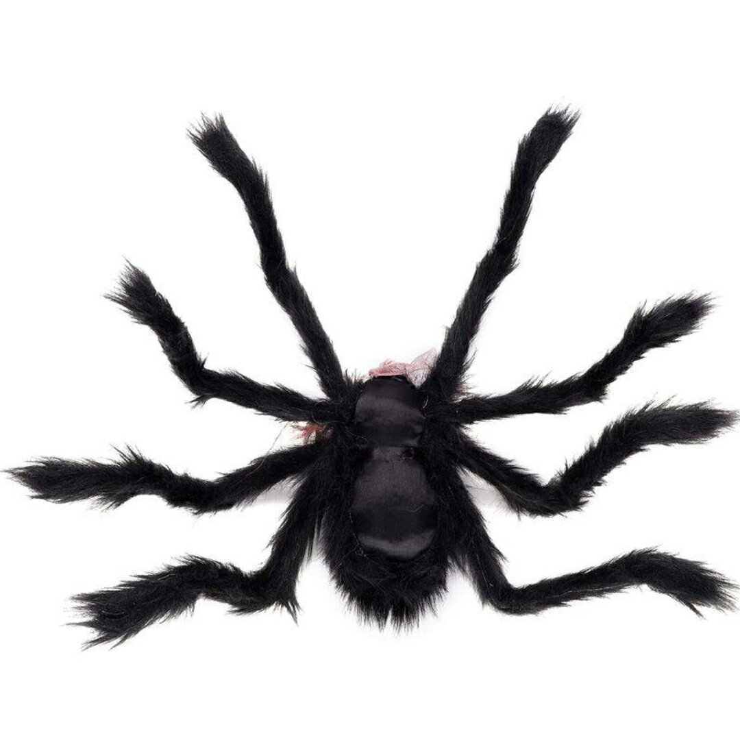 A061033ハロウィン飾り スカル蜘蛛 いたずらグッズ ドッキリグッズ ホラー小道具