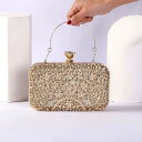 A031917豪華パーティーバッグ キラキラ ストーンBAG -クラッチバッグ レディース
