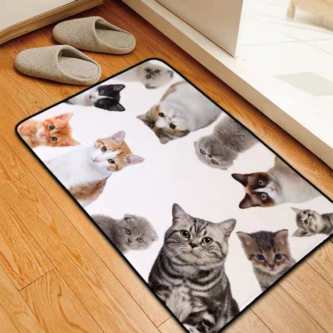 猫柄ネコ☆ラグマット 玄関マット カーペット お風呂マット cat 可愛い雑貨