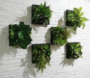 壁飾り 人工観葉植物 壁掛けインテリア ディスプレイ 壁掛けミックスグリーン ．造花 壁掛け 6点セッ