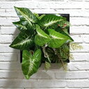 A022007壁飾り 人工観葉植物 壁掛けインテリア ディスプレイ 壁掛けミックスグリーン 造花 壁掛け