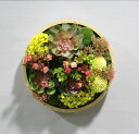 A027111壁飾り 人工観葉植物 壁掛けインテリア ディスプレイ 壁掛けミックスグリーン 造花 壁掛け