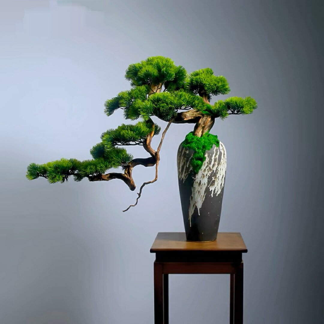 A032973����ƥꥢ���꡼�� �����¤�޵Ҿ��ߺ� ��ʪ ���շ޵Ҿ��ߺ������ʿ͹����տ�ʪ