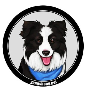 A009025☆ラグマット リビングマット 玄関マット.カーペット.お風呂マット .60cmサイズ ボーダー・コリー犬柄雑貨