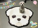 A025556マルチーズタイプ☆ラグマット リビング.玄関マット.カーペット お風呂マット 犬柄60サイズ(3)