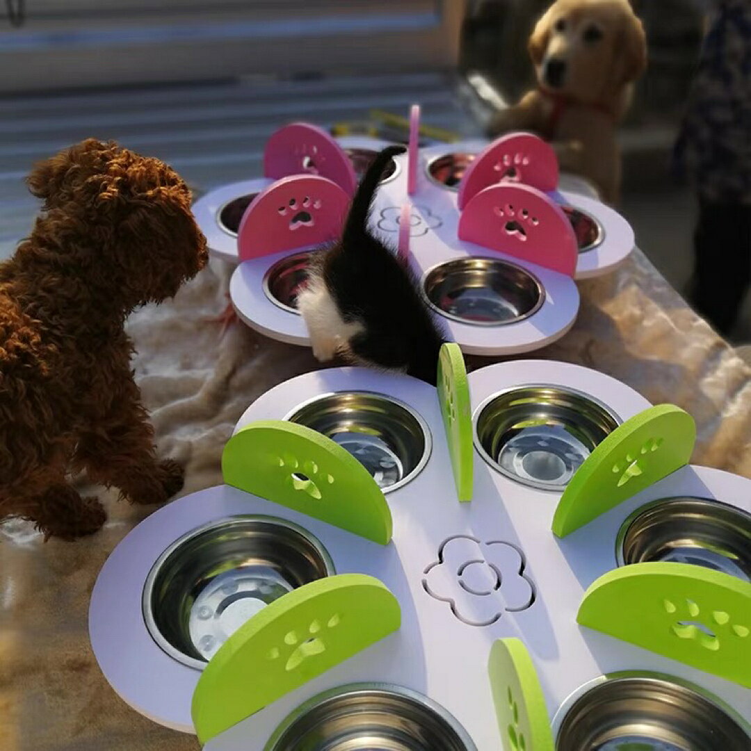 A064323ペット用6連セラミック食器セット仕切り付き ? 多頭飼いに最適!フラワーデザイン [3]