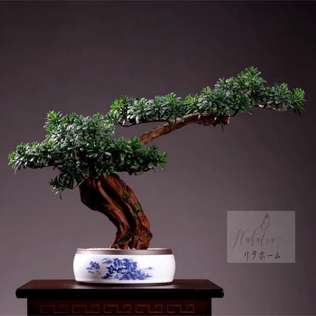 A004619インテリアグリーン 高級感模造迎客盆栽 置物 禅意迎客松盆栽装飾品 人工観葉植物