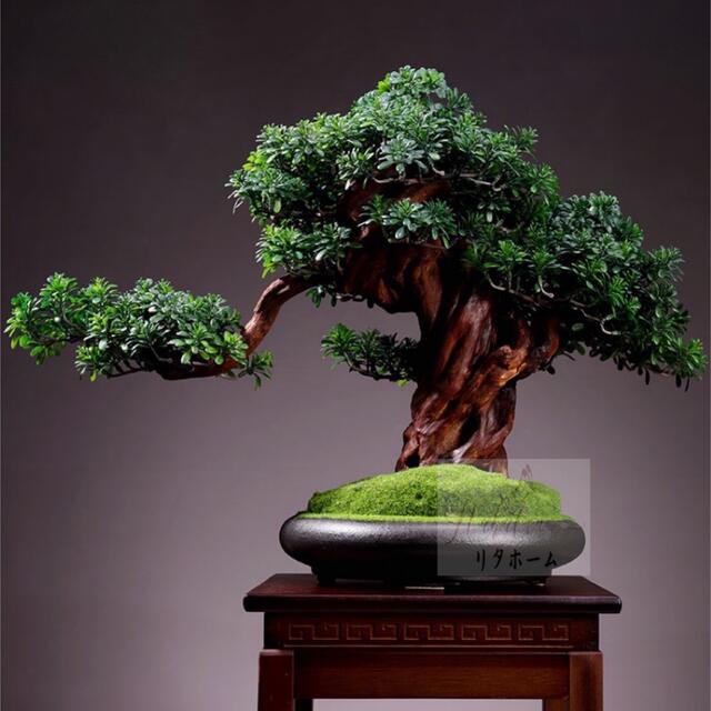 A004623インテリアグリーン 高級模造迎客松盆栽 置物 禅意迎客松盆栽装飾品 人工観葉植物