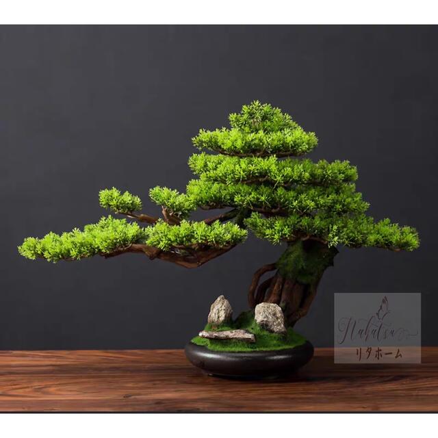 Other Aquatic Plants - A041124インテリアグリーン 高級模造迎客松盆栽 置物 禅意迎客松盆栽装飾品 人工観葉植物