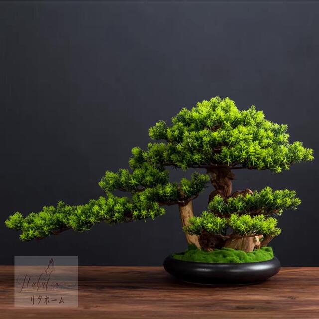 Other Aquatic Plants - A041130インテリアグリーン 高級模造迎客松盆栽 置物 禅意迎客松盆栽装飾品 人工観葉植物