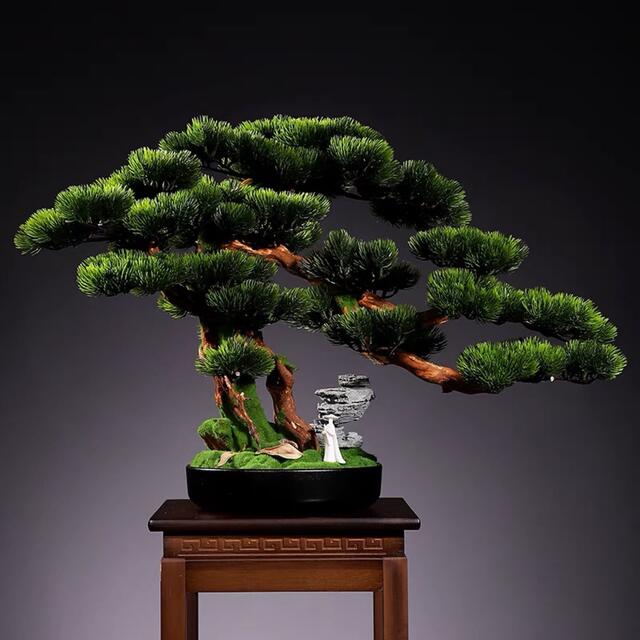 Other Succulents - A041163インテリアグリーン 高級模造迎客松盆栽 置物 禅意迎客松盆栽装飾品 人工観葉植物