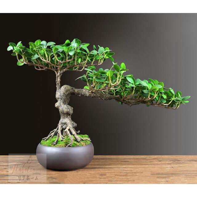 A041692インテリアグリーン 高級模造迎客松盆栽 置物 禅意迎客松盆栽装飾品 人工観葉植物
