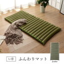 い草 マット クッション ポコポコ くつろぎ お昼寝 約70×150cm(3)