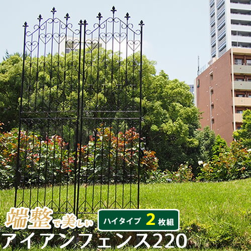 Iron - A011931アイアンフェンス220 ハイタイプ（2枚組） ブラック【送料無料 フェンス アイアン ガーデンフェンス ガーデニング 枠 柵 仕切り 目隠し 境目 クラシカル アンティーク トレリス ベランダ つる 薔薇 バラ 朝顔 園芸 ラティス】