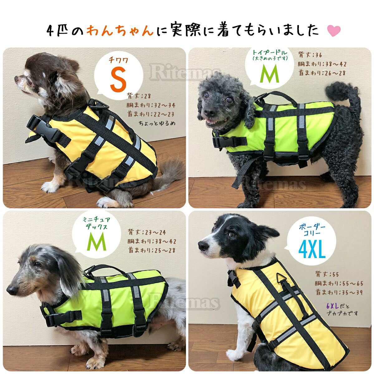 わんちゃん用 ライフジャケット リハビリ 安全 最大95 オフ 安心 泳ぎ 犬用ライフジャケット ライフベスト 犬用 子犬 小型犬 ペット 川遊び ペット用ライフジャケット 川 持ち手付き 簡単装着 グリーン 海水浴 ベルトハーネス 緑 海 Mサイズ
