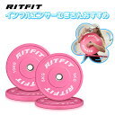 【インフルエンサー専用8%OFF】RITFIT バーベルプレート ダンベルプレート ラバープレート バンパープレート 5KG オールラバーコーティング ウェイトプレート 筋トレ 女性 フリーウェート ウェートリフティング 10KG 重量調整プレート 穴径5cm ピンク(4)