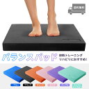 RITFIT バランスパッド 体幹トレーニング バランスエクササイズ リハビリ 転倒防止 ヨガ ピラティス補助 バランスマット ダイエット バランスクッション