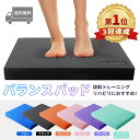 話題沸騰!!【フィットネス用品】 ハタ バランスディスク DK380